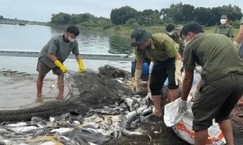Kết quả xét nghiệm hơn 200 tấn cá chết hồ Trị An: Oxy giảm sâu, amoni vượt chuẩn