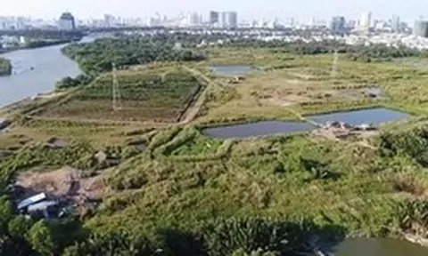 Hơn 17.000 ha đất của các dự án ở TPHCM đang chờ tháo gỡ