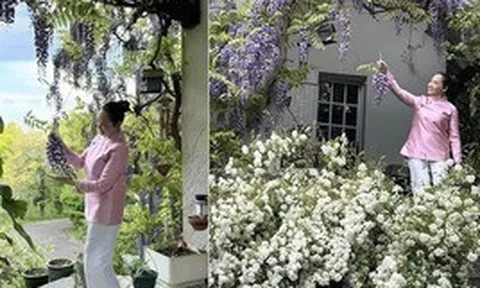 Mỹ nhân bỏ hết hào quang showbiz, lui về ở ẩn: Tận hưởng bình yên trong nhà vườn 4.000m2 đẹp như tranh
