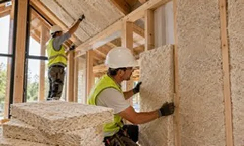 Phát minh làm rung chuyển ngành xây dựng: biến nấm thành gỗ, năng suất cao nhưng chi phí thấp