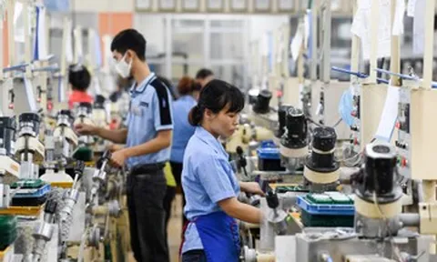 Lãnh đạo Cục Xuất nhập khẩu nói gì về việc nhập siêu gần 14 tỷ USD?
