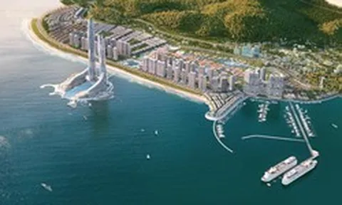 Dòng khách “khổng lồ” tại Bãi Cháy: Bảo chứng sinh lời thực tế cho Sun Elite City