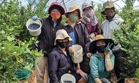Tin vui cho lao động Việt Nam làm việc tại Úc