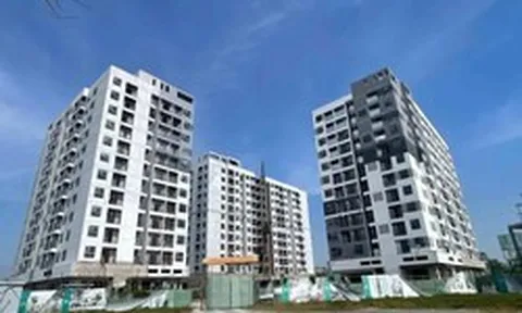 Đề xuất xây căn hộ nhỏ 15 m2 phục vụ nhu cầu của người độc thân hoặc hộ gia đình ít người