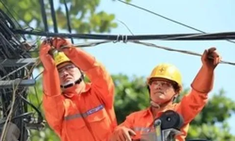 Chuyên gia, EVN nói về lợi nhuận tiền gửi