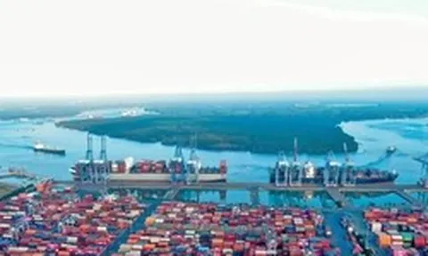 Hai cảng biển Việt Nam vượt qua nhiều 'ông lớn' thế giới