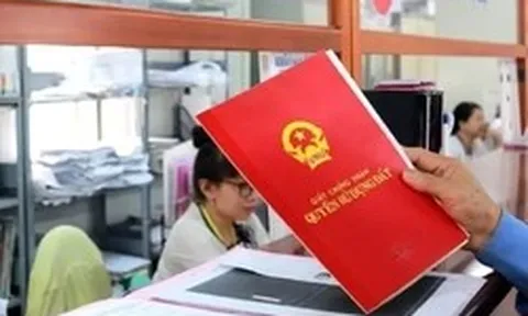Số lượng sổ đỏ cấp lần đầu ở TPHCM giảm mạnh