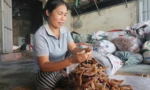 Từ củ khoai lang thành đặc sản 'hái ra tiền', cả làng thu hơn 40 tỷ đồng/năm