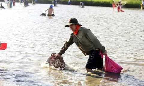 Chỉ một ngày trong năm, hàng trăm người lội xuống đầm "săn lộc"