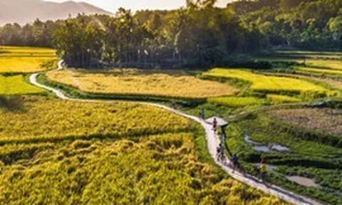 Làm gì để gìn giữ và phát huy giá trị văn hóa làng xứ Quảng?