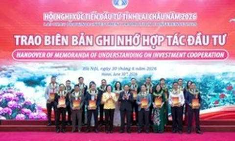 Taseco mở rộng sang năng lượng tái tạo, nghiên cứu đầu tư dự án điện mặt trời 22.000 tỷ tại Lai Châu