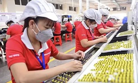 Doanh nghiệp nhỏ 'mắc kẹt' giữa áp lực chuyển đổi xanh