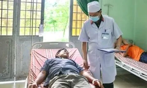 Trại rắn Đồng Tâm cảnh báo nguy cơ rắn độc cắn tăng cao vào mùa mưa lũ