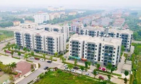 Đẩy mạnh phát triển nhà ở xã hội và nhà ở cho thuê