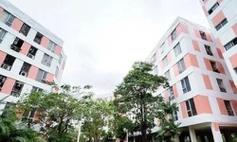 Nhà cho thuê, nhà ở giá phù hợp, mã định danh bất động sản đưa vào dự thảo luật