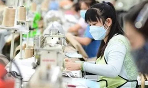 Mỹ bán bông nhiều nhất cho Việt Nam, Việt Nam xuất may mặc nhiều nhất sang Mỹ