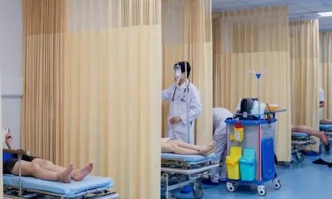 Đang đi chơi vui vẻ, 8 người bị ong vò vẽ đốt phải nhập viện
