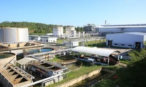 Xây dựng hệ sinh thái Ethanol để phát triển bền vững xăng E10