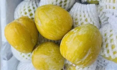 Chuyên gia lý giải vì sao hoa quả Trung Quốc giá cao vẫn bán ‘đắt như tôm tươi’
