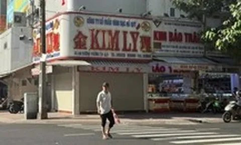 Chủ tiệm vàng Kim Lý vừa bị khởi tố vụ buôn lậu kim cương: Bất ngờ về số liệu doanh thu, lợi nhuận
