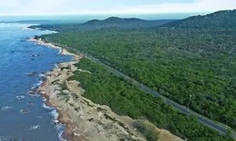 Khám phá kho báu hơn 10.000 ha do TPHCM quản lý