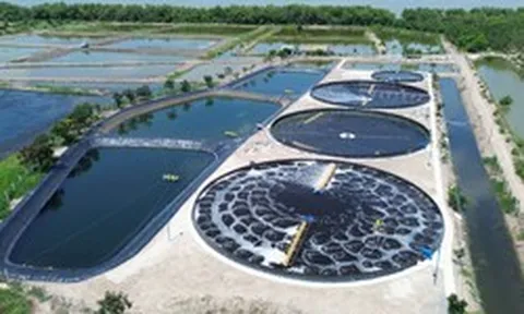 Việt Nam có một "mỏ vàng" dưới nước trị giá tỷ USD: Được làm theo cách chưa từng có
