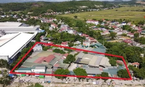 Thanh Hóa yêu cầu kiểm tra vụ khu chợ hàng nghìn mét vuông mọc lên trái phép
