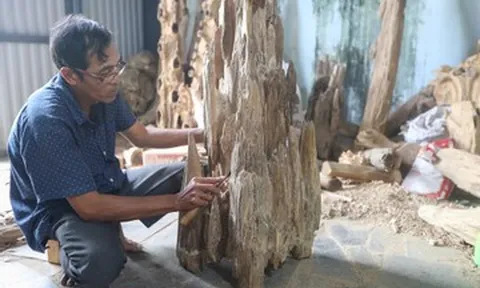 Nghề tinh tường soi ra tiền triệu từ gỗ dó bầu trồng tại vườn