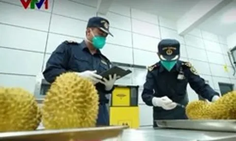Cắt giảm nhiều thủ tục phân loại hàng hóa xuất nhập khẩu từ ngày 15/9