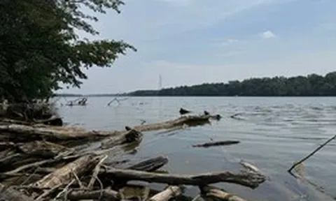 Mỹ: 5 người chết đuối khi cố gắng cứu nhau trên sông ở bang Ohio