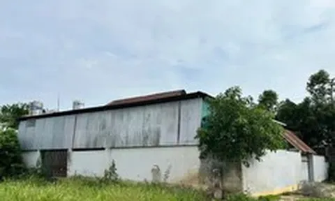 Nguyên hiệu trưởng dựng nhà trên đất trường, chiếm dụng gần 500m²