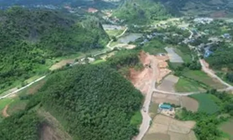 Công khai danh sách loạt DN có hành vi hủy hoại đất, tự ý chuyển mục đích sử dụng