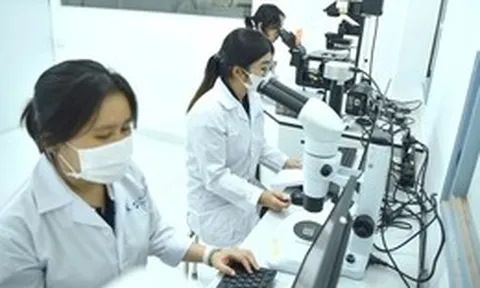 Tin tức sáng 22-7: TP.HCM thu hút người tài năng; Tăng trợ cấp với quân nhân phục viên, xuất ngũ