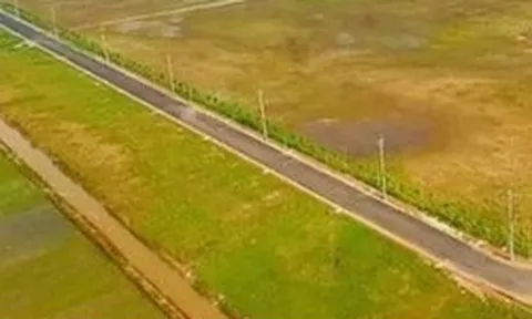 Cục Thuế yêu cầu khắc phục tình trạng chậm, quá hạn giải quyết hồ sơ đất đai