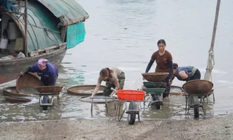 Sống nhờ 'lộc nước', dân ven sông La thu nhập hàng triệu đồng từ nghề 300 tuổi