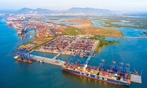 TP.HCM thành lập Khu thương mại tự do Cái Mép Hạ 4.100 ha