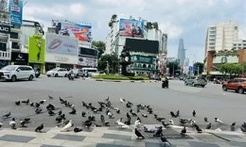 Là nơi trở về...