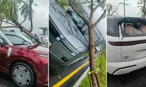 Nhà máy ô tô dính bão, xe hỏng được sửa rồi bán giá rẻ