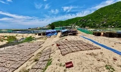 Cung đường ven biển đẹp nhất Phú Yên bốc mùi vì sơ chế mực xà