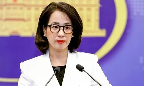 'Việt Nam giờ đây không chỉ nói điều mình muốn nói, mà còn nói điều thế giới quan tâm'