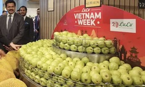 Tập đoàn bán lẻ quốc tế 'săn' nhà cung cấp Việt Nam cho nhãn hàng riêng