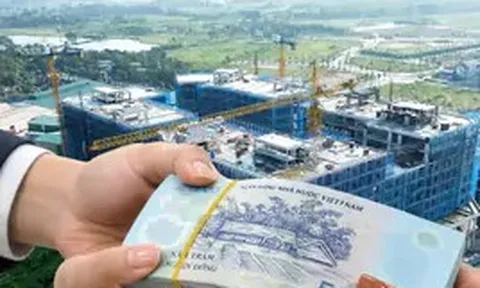 Nghiên cứu đánh thuế cao hơn với nhà đất bỏ hoang: Đã đến thời điểm chín muồi?