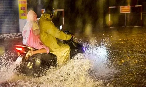 Cảnh báo mưa to nhiều nơi tại TP.HCM, đề phòng cây đổ, ngập nước