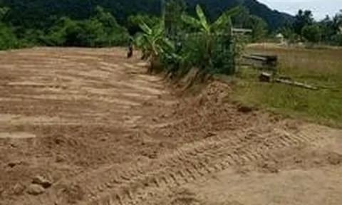 San đất để làm vườn, người dân Việt Nam phát hiện vật hình hộp màu xanh lạ, chuyên gia xác nhận báu vật hiếm có 600 năm   tuổi