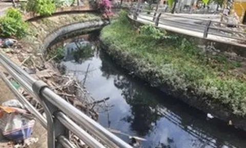 Khổ sở vì rạch 'nước đen' ô nhiễm giữa lòng Cần Thơ
