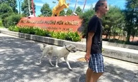 Áp dụng phạt chủ thả chó không rọ mõm: ‘Đụng tới cái ví là sợ liền’