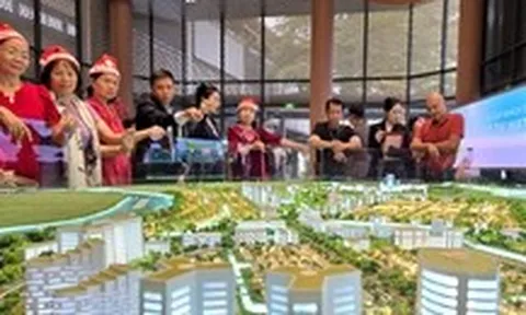 Bác sĩ, luật sư, môi giới bất động sản sẽ bị rà soát thuế trong bao nhiêu năm?