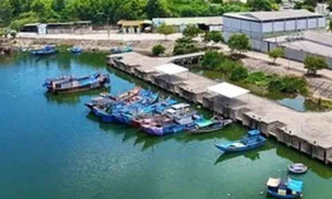 Đầu tư thêm 8 tỉ đồng để 'hồi sinh' cảng cá gần 200 tỉ ở Quảng Ngãi