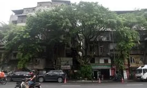 Hà Nội tính xây tòa nhà 21 tầng thay thế chung cư gần 40 năm tuổi có 3 mặt tiền tại “đất vàng” Hoàn Kiếm