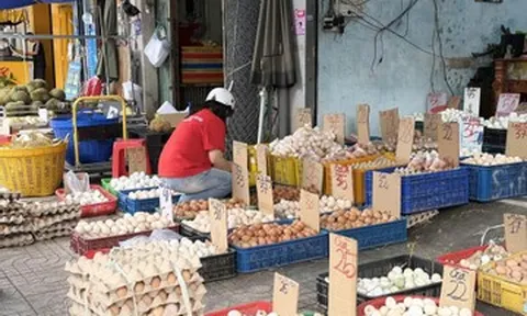 Nhờ bánh Trung thu, giá trứng gà thoát đáy